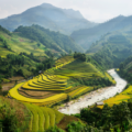 Natur og kultur på rundrejse i Vietnam med C&C Travel