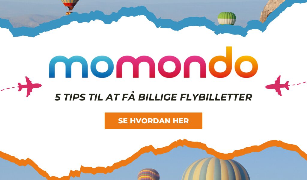 momondo banner, canva, rejsetips, rejser, rejsetilbud, flytilbud